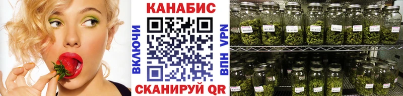 kraken маркетплейс  Новая Ляля  МАРИХУАНА гибрид  сколько стоит 