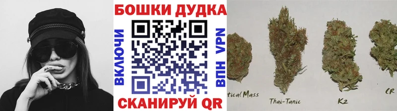 Каннабис сатива Новая Ляля